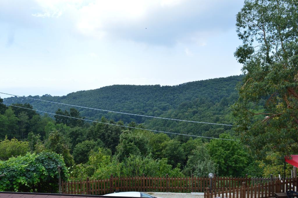 Agriturismo E Turre Serrastretta Eksteriør bilde